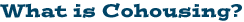 What Is Cohousing?