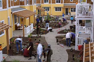Landscaping Day